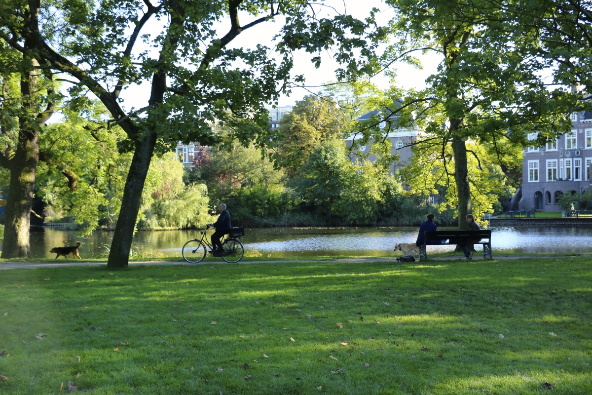 Walk, Bike or Run through Vondelpark.  It's nice to just meander along the dirt paths or take an afternoon nap under the trees.                  